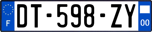 DT-598-ZY