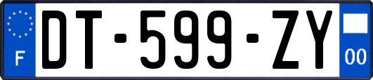 DT-599-ZY