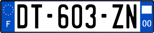 DT-603-ZN