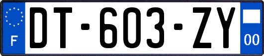 DT-603-ZY