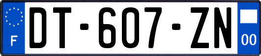 DT-607-ZN