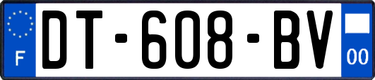 DT-608-BV