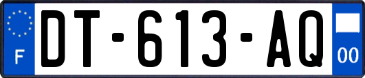 DT-613-AQ