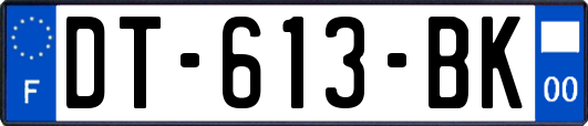 DT-613-BK