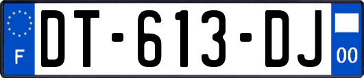 DT-613-DJ