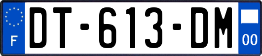 DT-613-DM