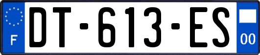 DT-613-ES
