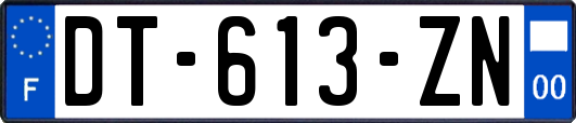 DT-613-ZN