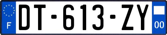 DT-613-ZY