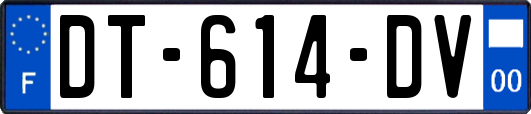 DT-614-DV