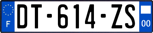 DT-614-ZS
