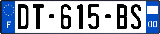 DT-615-BS