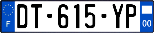 DT-615-YP