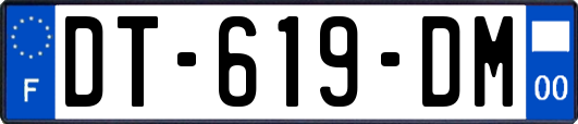 DT-619-DM
