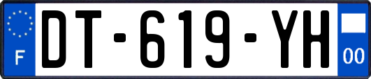 DT-619-YH