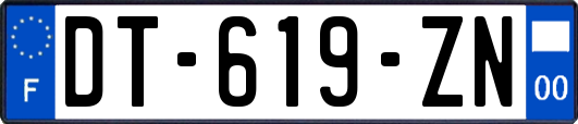 DT-619-ZN