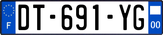 DT-691-YG