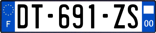 DT-691-ZS