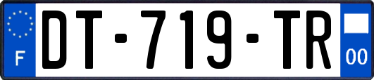DT-719-TR