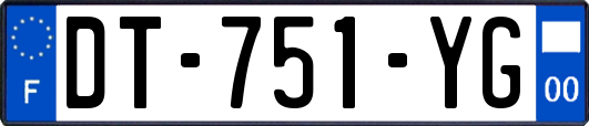 DT-751-YG