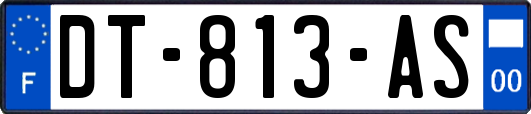 DT-813-AS