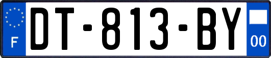 DT-813-BY