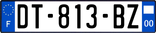 DT-813-BZ