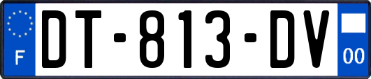 DT-813-DV