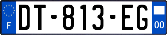 DT-813-EG