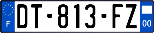 DT-813-FZ