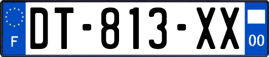 DT-813-XX
