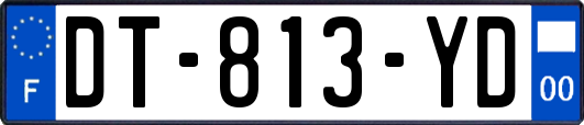 DT-813-YD