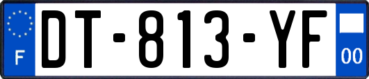 DT-813-YF