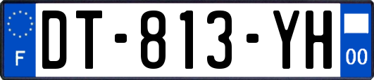 DT-813-YH