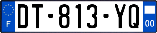 DT-813-YQ