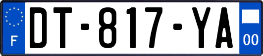 DT-817-YA