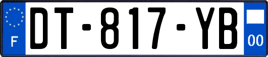 DT-817-YB