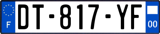DT-817-YF
