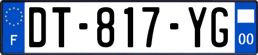 DT-817-YG