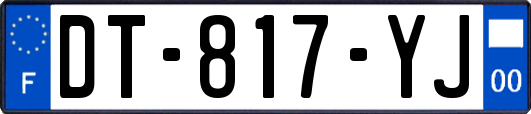DT-817-YJ