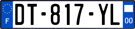 DT-817-YL