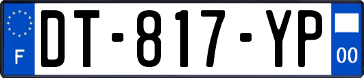DT-817-YP