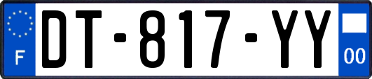 DT-817-YY