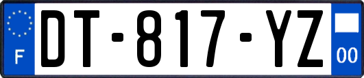 DT-817-YZ