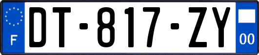 DT-817-ZY