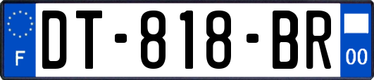 DT-818-BR