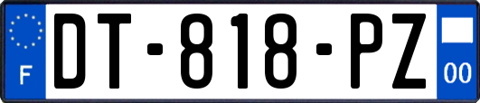 DT-818-PZ