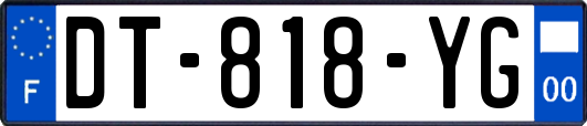 DT-818-YG