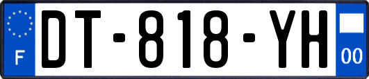 DT-818-YH