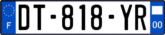 DT-818-YR